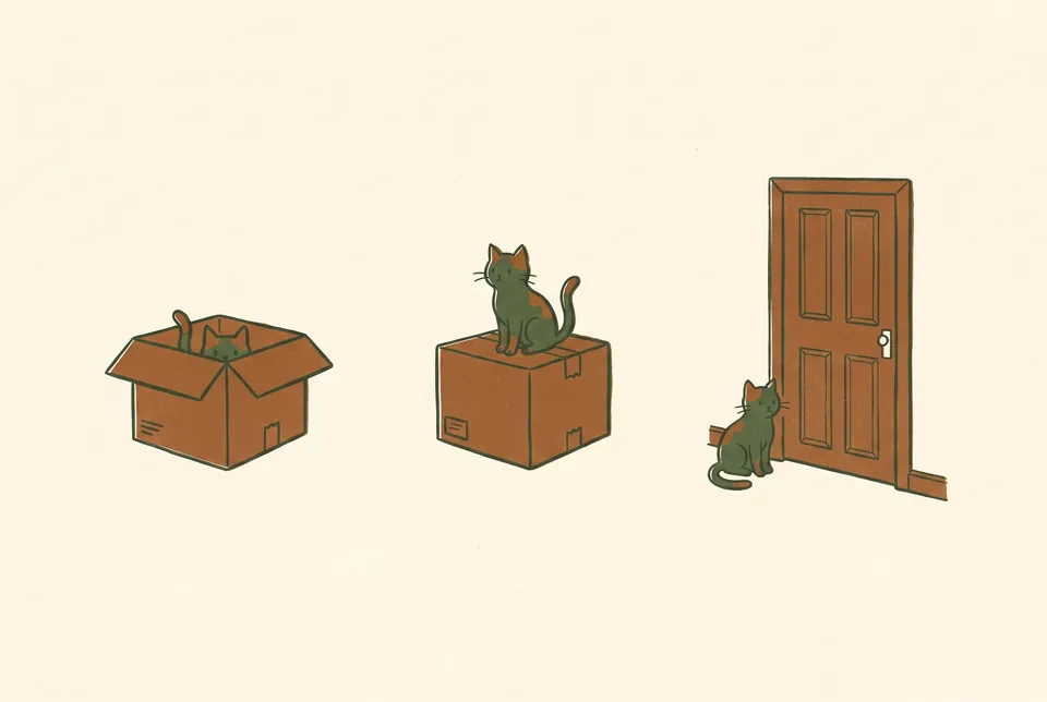 The same cat sits in a box, on a box, and at a door.